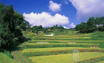 属羊的和属狗_属羊狗住几层楼最好吉利_属羊狗猪分别多大了